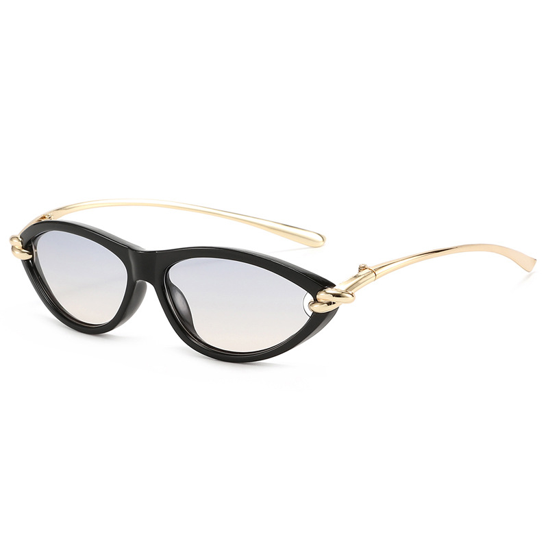 Nieuwe Y2K Retro Kleine Montur - Sunglasses Cat Eye recensie en prijs